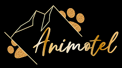 Pension canine en Haute-Savoie – Animotel